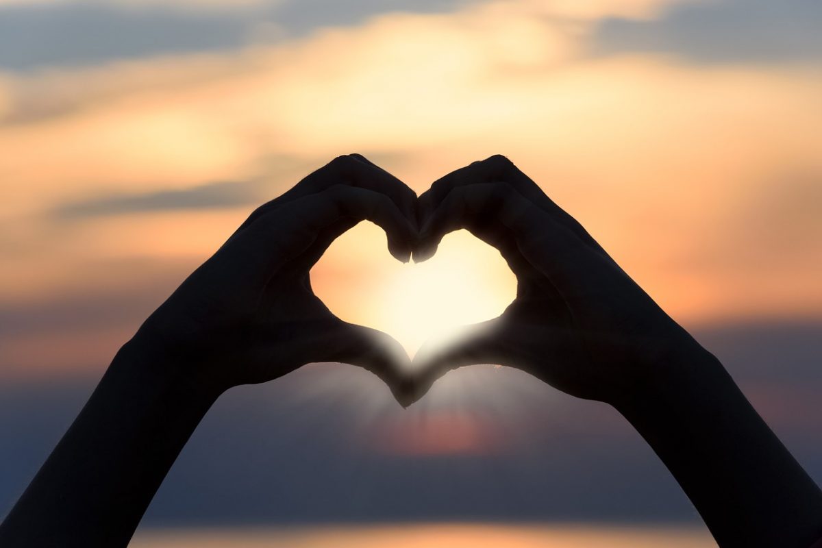 hands in the shape of a heart