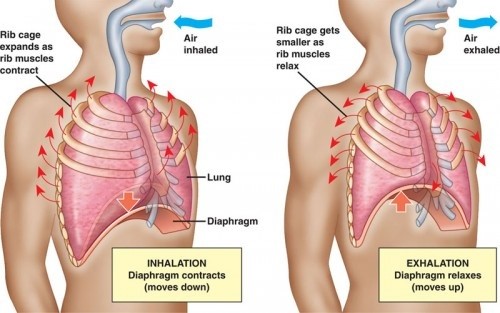 breathing exercise