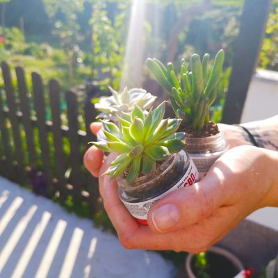 reusing CBD moisturiser container eco friendly